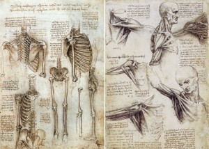 leonardo-da-vinci-anatomical-manuscript1